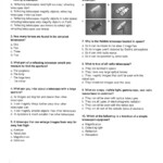 20 Brainpop Periodic Table Worksheet Answers Worksheet From Home