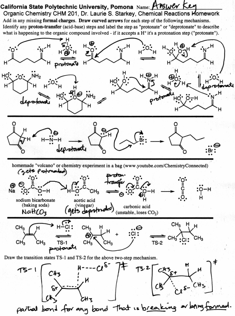 Dr Starkey s CHM 201 Elements Of Organic Chemistry