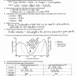 Photosynthesis Worksheet Answer Key 50 Synthesis Diagrams Worksheet