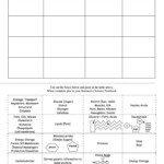 Pin On Science For Secondary Grades Biology Chemistry Physics And More