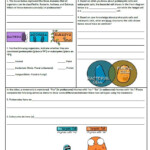 Worksheet Amoeba Sisters Video Recap Nature Of Science Answer Key