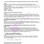 30 The Chemistry Of Life Worksheet Education Template