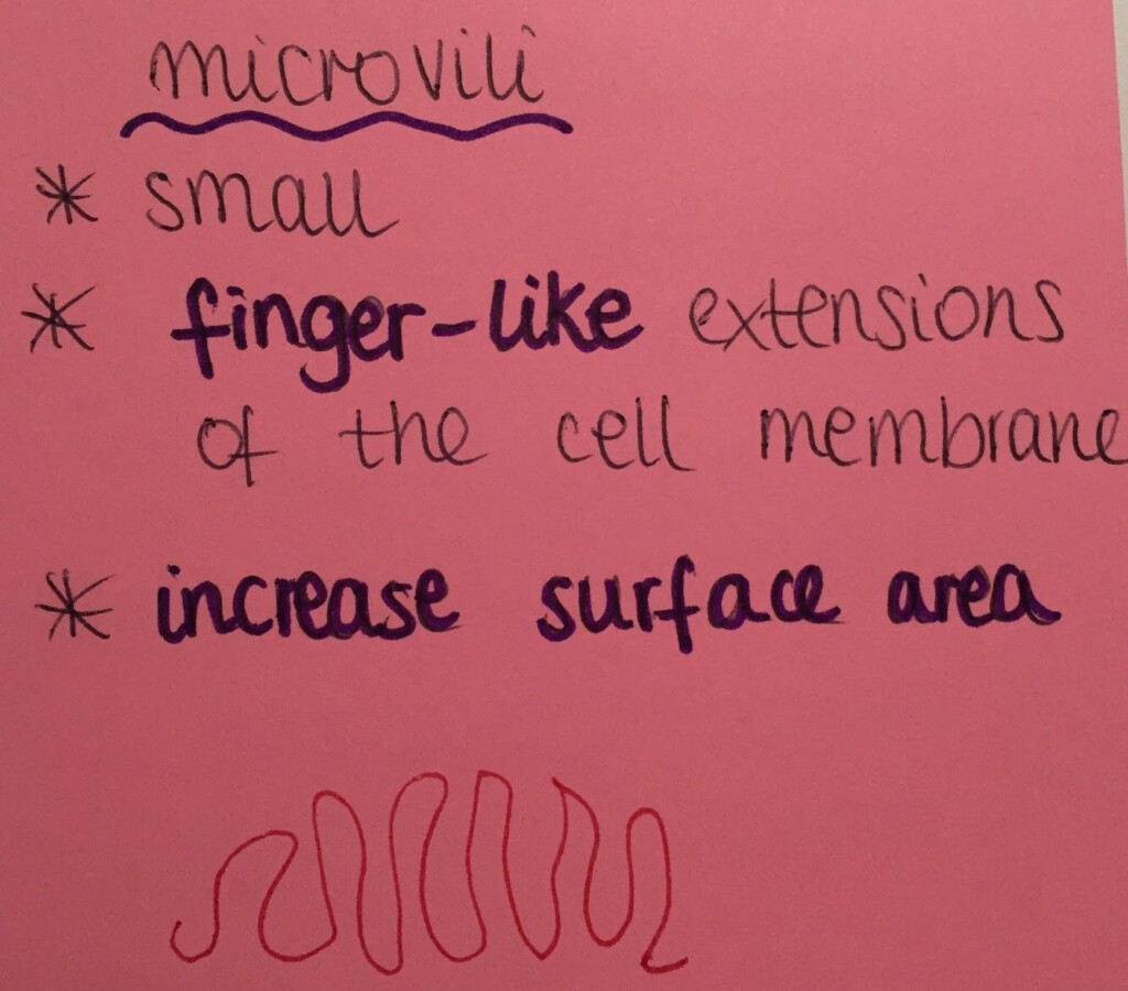 Best Aqa Gcse Science Student Worksheet Answers Biology The Blackness 
