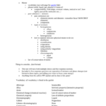 Classification Of Matter Worksheet Answers Chemistry Quizlet TUTORE