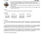 Electron Configuration Elements Atoms And Ions Worksheet Answer Key