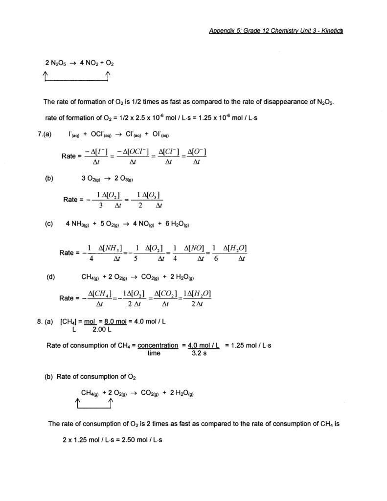 13 Worksheet Reaction Rates Answer Worksheeto