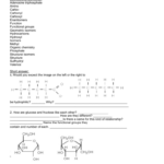 Chapter 4 Worksheet Name