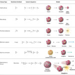 Radioactive Decay Nuclear Physics Chemistry Worksheets Nuclear Reaction